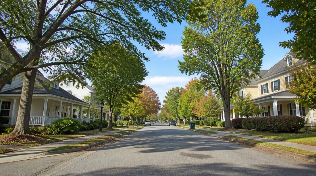 Projects Area Image
