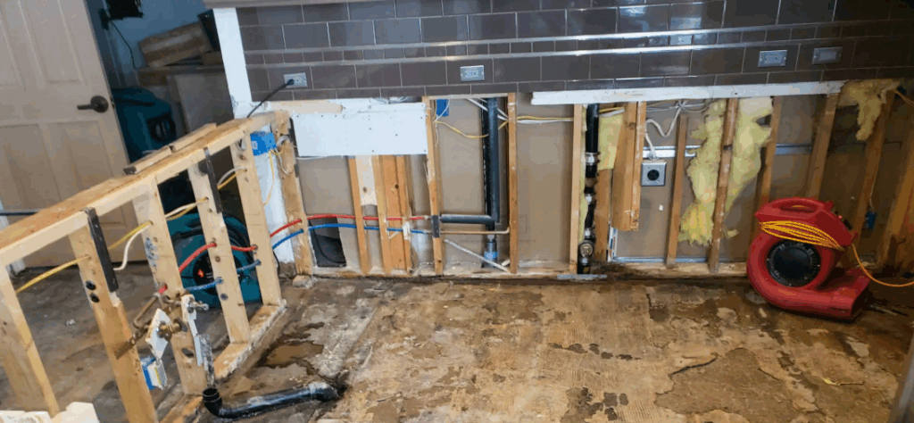 Crawl Space Cleanout 2